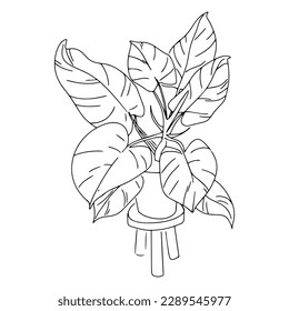 Philodendron home plant vector line art.