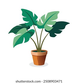 Philodendron hope selloum Home plant isolated flat vector illustration on white background.