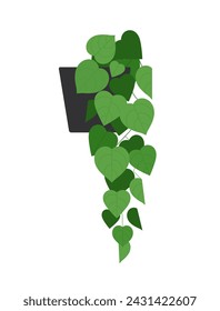 Planta de filodendros. Planta interior trepadora con hojas en forma de corazón de color verde claro. Una planta vinícola en una maceta, ilustración vectorial. Aislado en blanco. Estilo minimalista