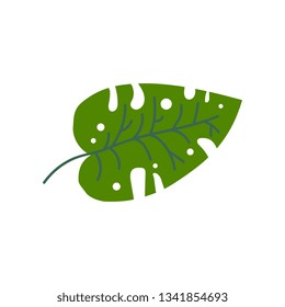 Philodendron Leaf, Botanical Design Element Vector Illustration