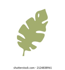 Philodendron leaf flat vector illustration. Isolated from background. 