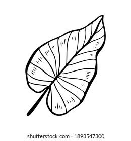 Philodendron leaf stylized vector illustration. Doodle illustration of decorative tropical foliage. Leaves of palm tree philodendron isolated on white background.