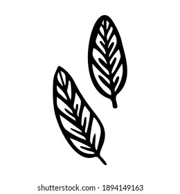 Philodendron Blatt stilisierte Vektorgrafik. Doodle-Illustration von dekorativem tropischem Blattwerk. Blätter von Palmenbaumphiloden einzeln auf weißem Hintergrund.