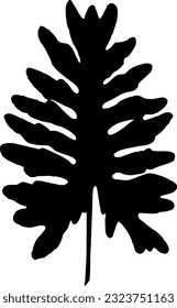 philodendron leaf vector silhouette illustration