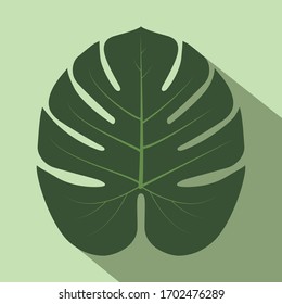 Philodendron leave isolated on green background. Vector illustration.