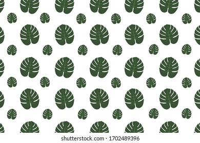 Philodendron leaves isolated on white background. Vector illustration.