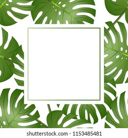 Philodendron Monstera Leaf Banner Card. Vector Illustration.