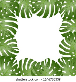 Philodendron Monstera Leaf Border isolated on White Background. Vector Illustration.
