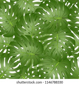 Philodendron Monstera Leaf Seamless isolated on White Background. Vector Illustration.