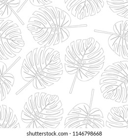Plan Harmonieux Feuille de Monstère du Philodendron isolé sur Fond Blanc. Illustration vectorielle.