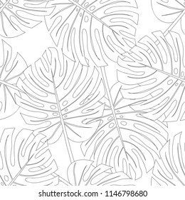 Philodendron Monstera Leaf Seamless Outline isolated on White Background. Vector Illustration.