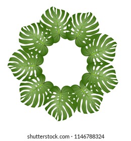 Philodendron Monstera Leaf Wreath isolated on White Background. Vector Illustration.
