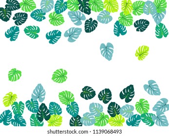 Philodendron or monstera plant frame. Vector tropical pattern with jungle leaves bohemian decor background. Floral jungle ornament with monstera leaf tropical pattern.