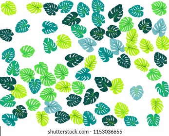 Philodendron or monstera plant. Vector tropical pattern with jungle leaves bohemian decor background. Floral jungle ornament with monstera leaf tropical pattern.