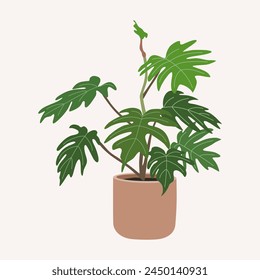 Philodendron plant, beautiful tropical houseplant in flowerpot for home decoration. Hand drawn vector illustration isolated on white background, modern flat cartoon style.