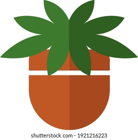 Philodendron plant in a pot, illustration, vector on white background.