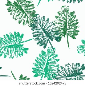 Philodendron selloum seamless vector background texture plant indoor home large tropical hand-drawn