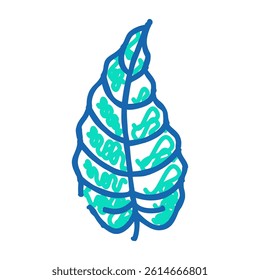 philodendron tropical leaf doodle icon sketch vector. philodendron tropical leaf sign. isolated symbol illustration