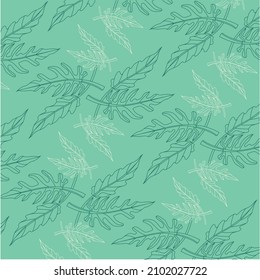 Philodendron xanadu leaves pattern falling