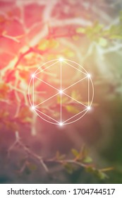 Philosopher stone sacred geometry spiritual new age futuristic illustration with transmutation interlocking circles, triangles and glowing particles in front of blurred natural background.