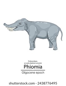 Phiomia, an early elephant ancestor from the Oligocene epoch, with nasal bones and a very short trunk. 