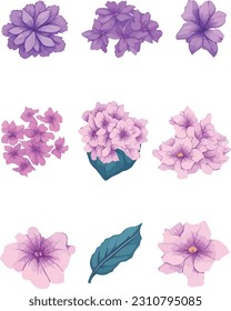Phlox Flower Set, Watercolor Flower Vector Design Set