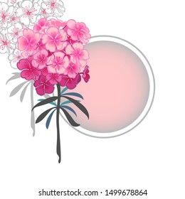 Phlox. Round frame for text decorated with flowers. Vector graphics