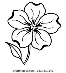 Phlox Vector on White Background