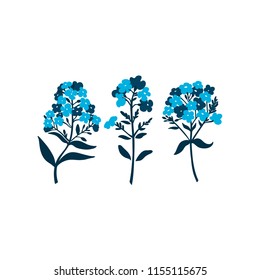 Phloxes. Set of flowers isolated on white background. Vector illustration.