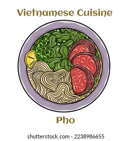 Pho Bo vietnamese soup with beef and rice noodles. Isolated vector illustration. 