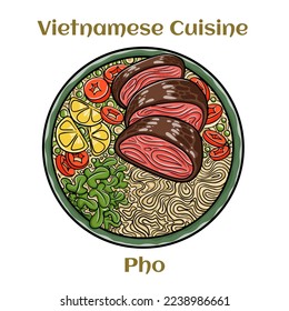 Pho Bo vietnamese soup with beef and rice noodles. Isolated vector illustration. 