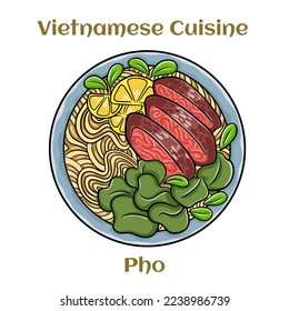 Pho Bo vietnamese soup with beef and rice noodles. Isolated vector illustration. 