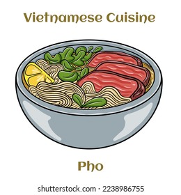 Pho Bo vietnamese soup with beef and rice noodles. Isolated vector illustration. 