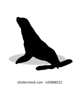 Phoca nautical black silhouette animal