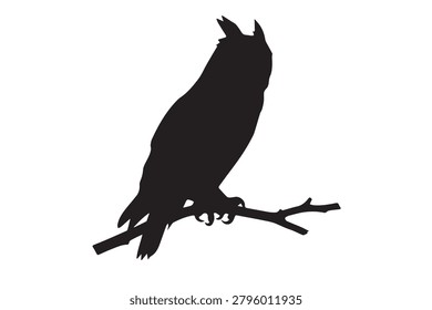 Phoebe Bird Black Silhouette Isolated Vector Graphic Asset