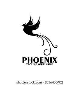 phoenix animal design logo vector