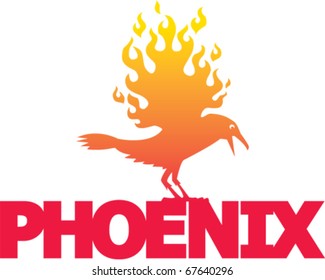 Phoenix Bird