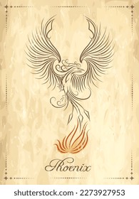 Phoenix Bird Ancient Symbol of Rebirth Emblem on the old paper scroll. Vector illustration.