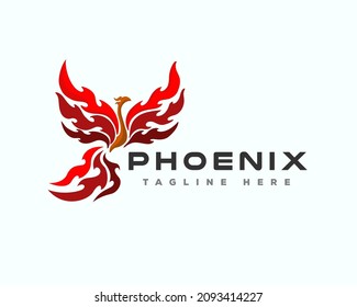 phoenix bird fire fly drawn art logo template illustration