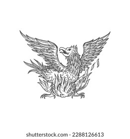 Phoenixvogel in Feuer einzeln Skizze Symbol. Vektor handgezeichnet Phoenix Tätowierung im japanischen und chinesischen Stil, mythische Feuervogelkreatur, Fenix-Stammestier