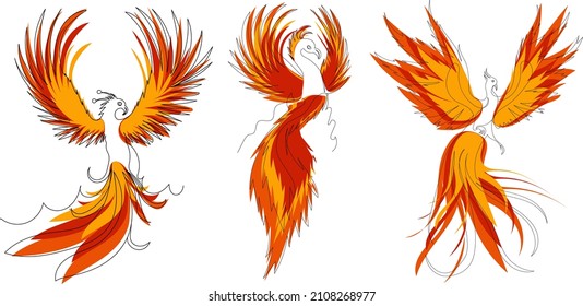 phoenix bird, firebird line drawing, sketch