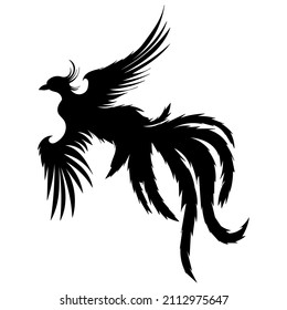 phoenix bird, firebird silhouette,on white background, vector, isolated