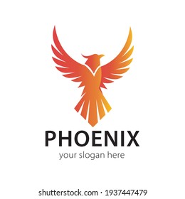 phoenix bird icon logo illustration