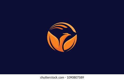 phoenix bird logo