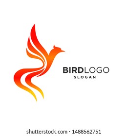 Phoenix bird Logo Design template. Eagle Falcon Phoenix logo vector illustration