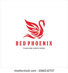 Phoenix Bird Logo Design Vector Image