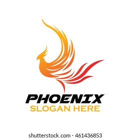 Phoenix bird logo template