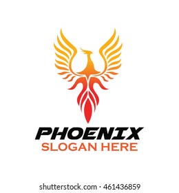 Phoenix bird logo template
