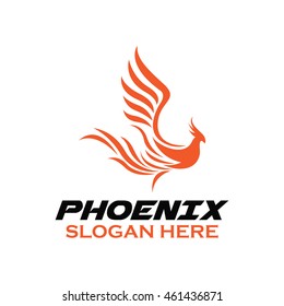 Phoenix bird logo template