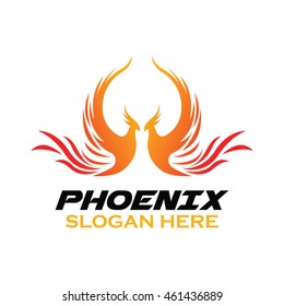 Phoenix bird logo template